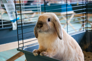 Similar image 5509384