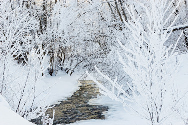 Similar image 5509449