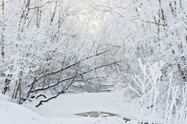 Similar image 5509450