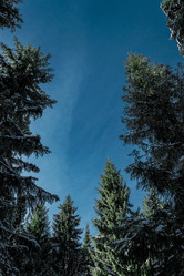 Similar image 5509455