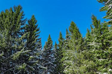 Similar image 5509456