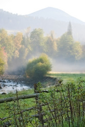 Similar image 5509519