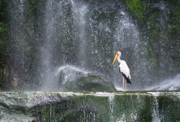 Similar image 5509560