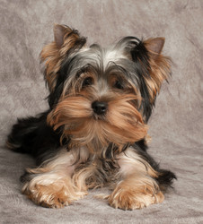 Similar image 5512894