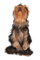 Similar image 5512898