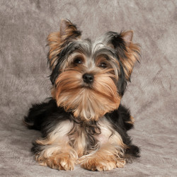 Similar image 5512899