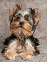 Similar image 5512900