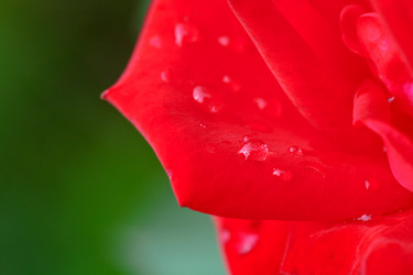 Similar image 5516410