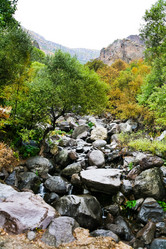 Similar image 5516424