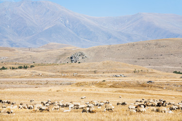 Similar image 5516496