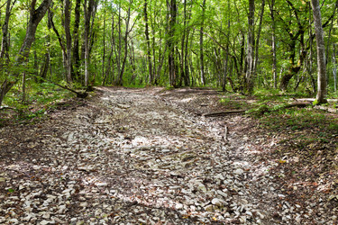 Similar image 5516531