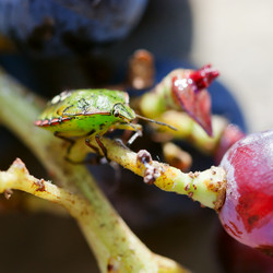 Similar image 5516538