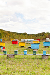 Similar image 5516566