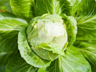 Similar image 5516570