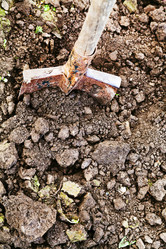 Similar image 5516572