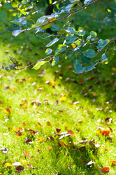 Similar image 5516578