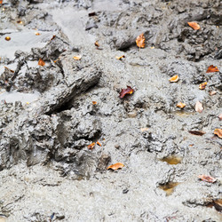 Similar image 5516586