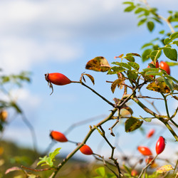 Similar image 5516621