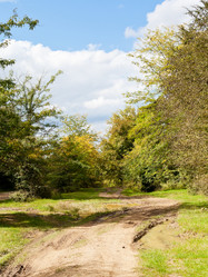 Similar image 5516622