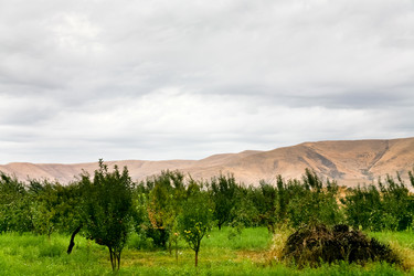 Similar image 5516638