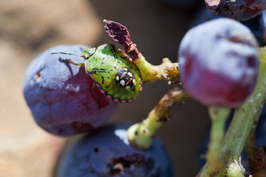 Similar image 5516639