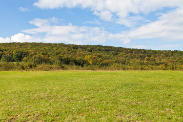 Similar image 5516641