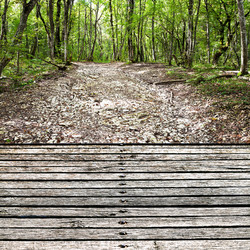 Similar image 5516648