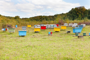 Similar image 5516662