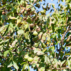 Similar image 5516692