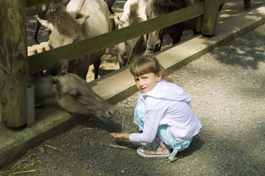 Similar image 5516774