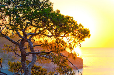 Similar image 5516780