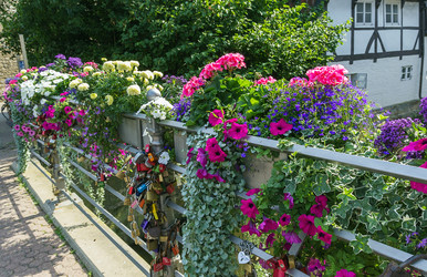 Similar image 5516821