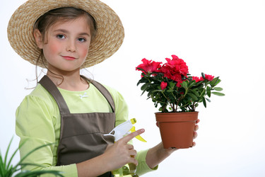 Similar image 5516847