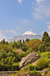 Similar image 5516851