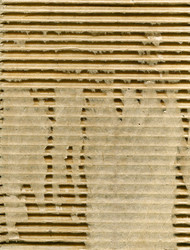 Similar image 5516858