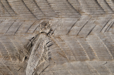 Similar image 5516861