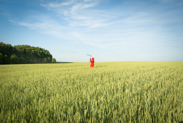 Similar image 5516896