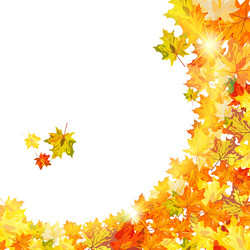 Similar image 5516911