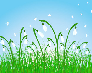 Similar image 5516918