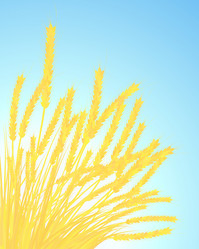 Similar image 5516928