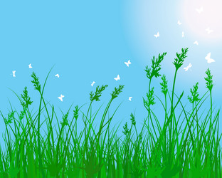 Similar image 5516929