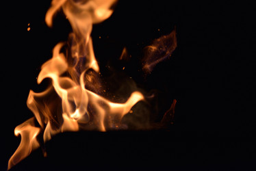 Similar image 5516994