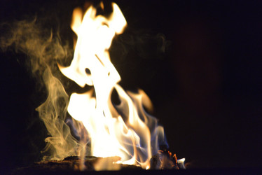 Similar image 5516998