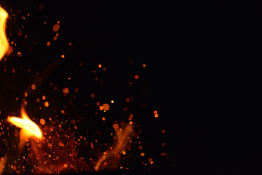 Similar image 5517005