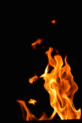 Similar image 5517043