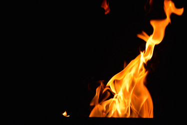 Similar image 5517065