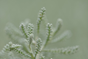 Similar image 5517245