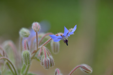 Similar image 5517246