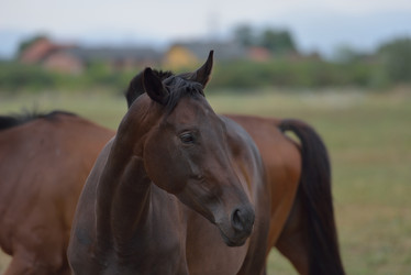 Similar image 5517253