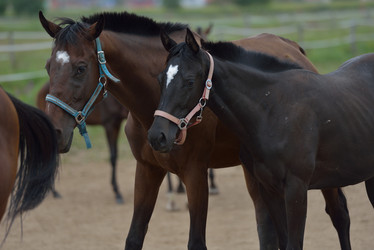 Similar image 5517254